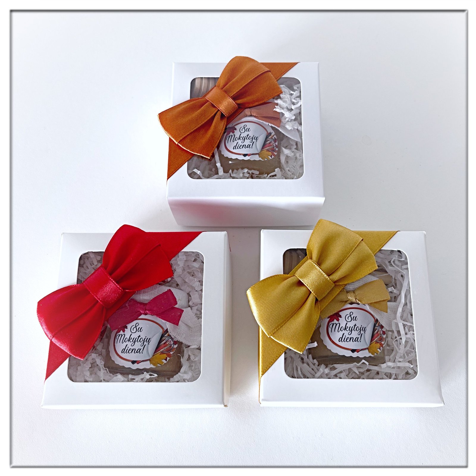 Dovanos MOKYTOJAI - AUKLĖTOJAI - Image 5