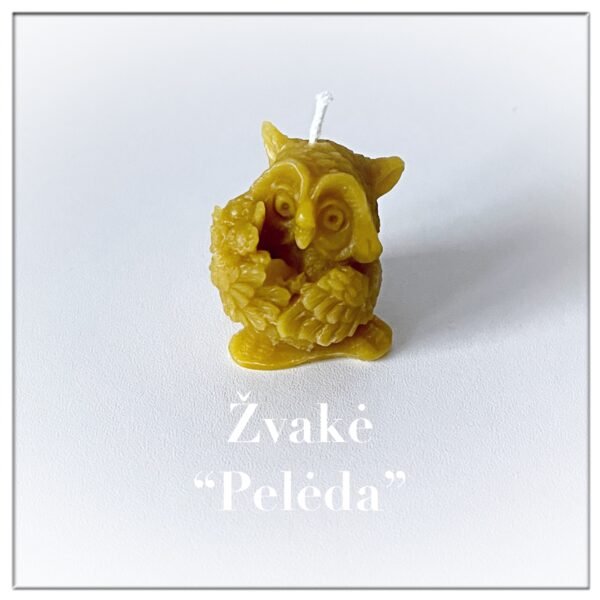 Žvakė Pelėda