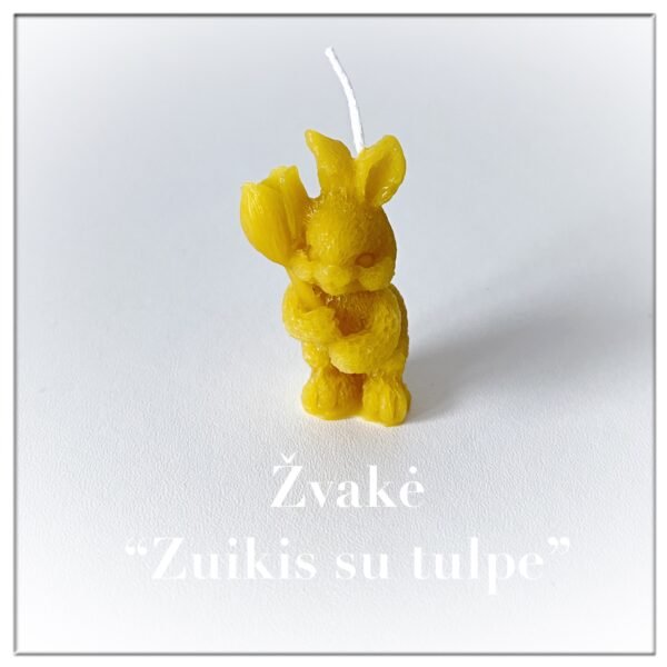 Žvakė Zuikis su tulte